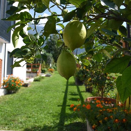 Il Giardino Dei Ciliegi Apartment คอลีโก ภายนอก รูปภาพ