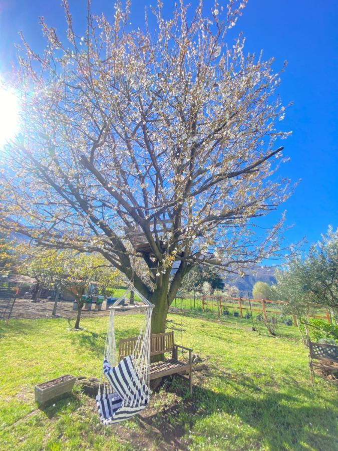 Il Giardino Dei Ciliegi Apartment คอลีโก ภายนอก รูปภาพ