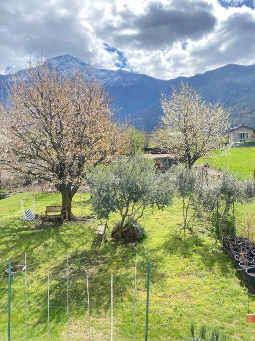 Il Giardino Dei Ciliegi Apartment คอลีโก ภายนอก รูปภาพ