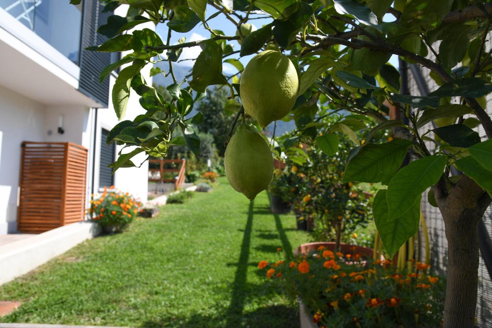 Il Giardino Dei Ciliegi Apartment คอลีโก ภายนอก รูปภาพ