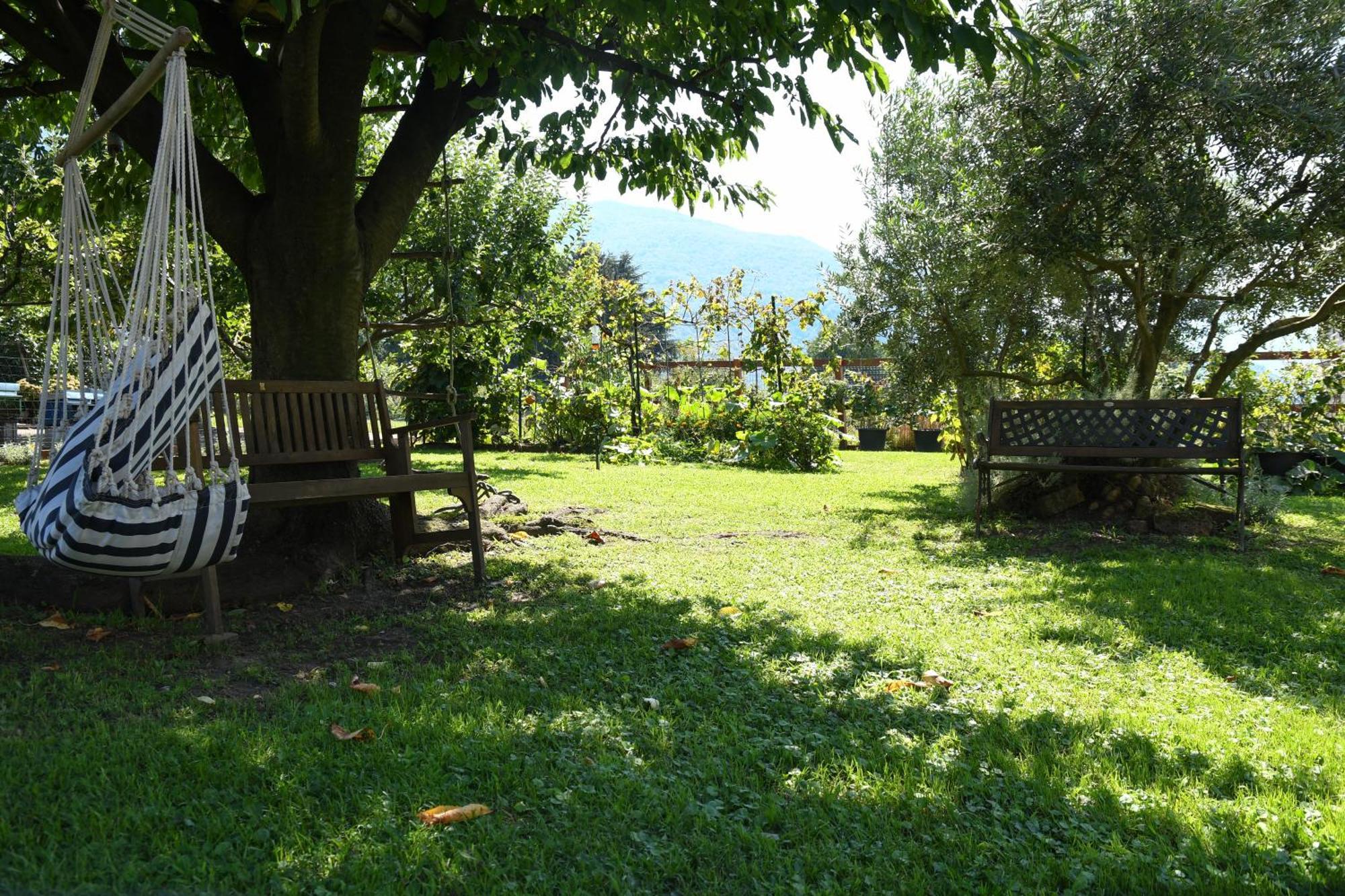 Il Giardino Dei Ciliegi Apartment คอลีโก ภายนอก รูปภาพ