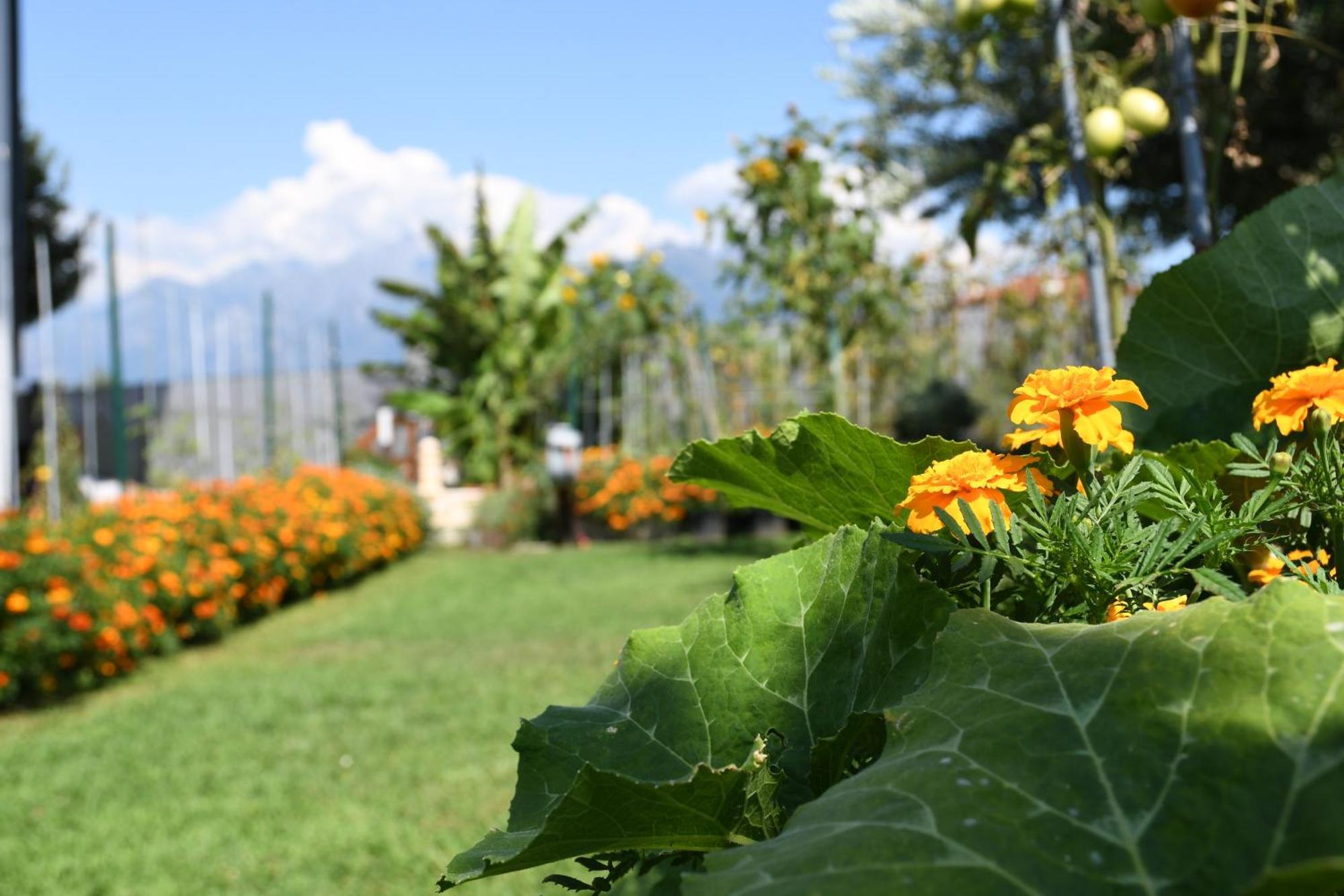 Il Giardino Dei Ciliegi Apartment คอลีโก ภายนอก รูปภาพ