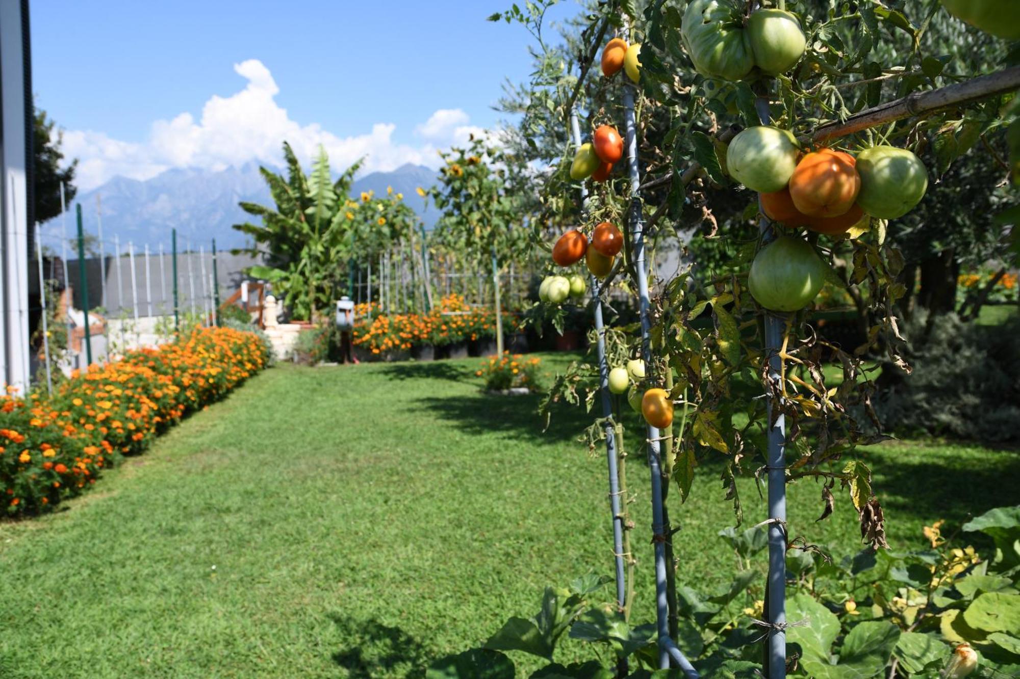 Il Giardino Dei Ciliegi Apartment คอลีโก ภายนอก รูปภาพ