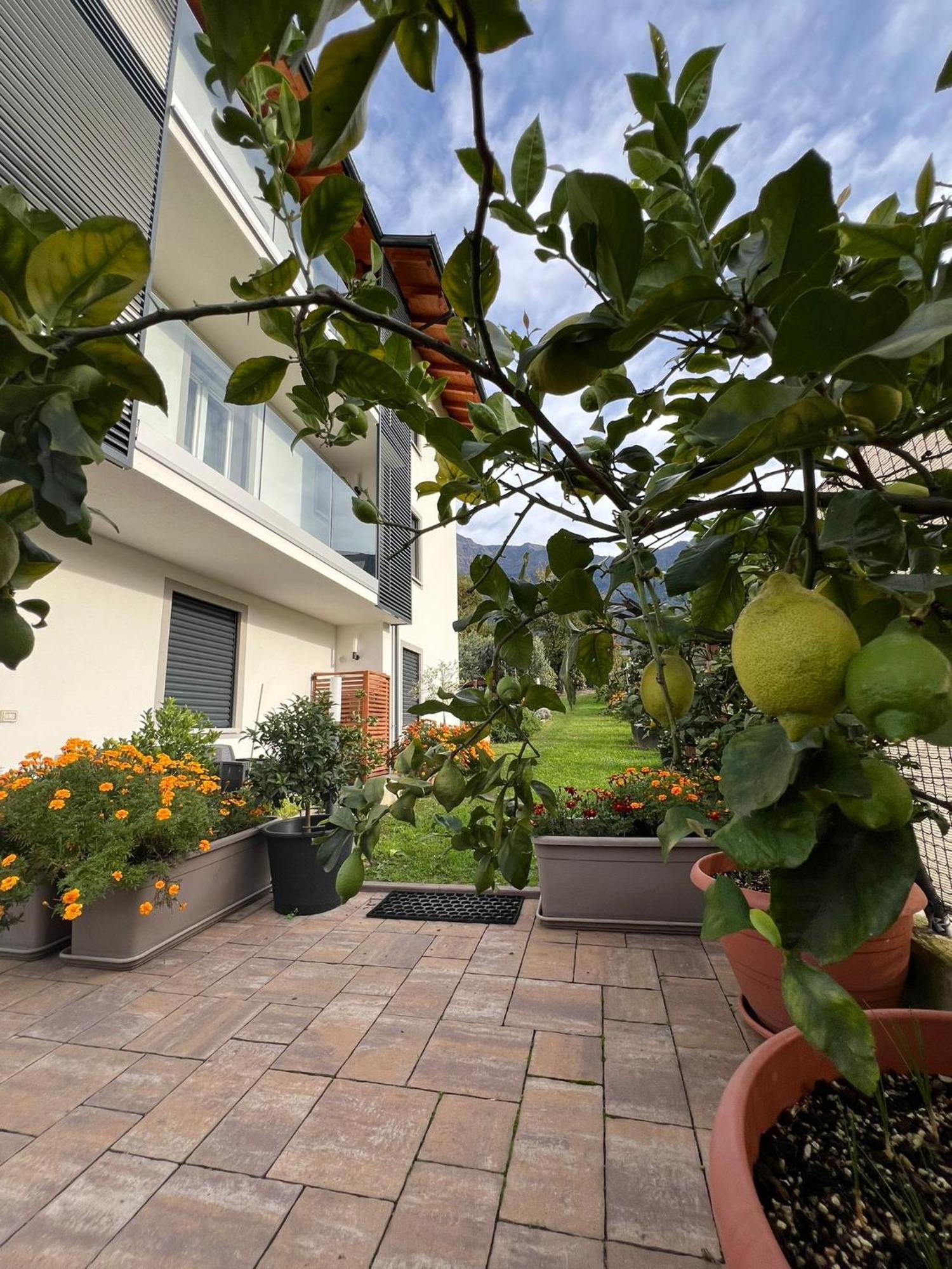 Il Giardino Dei Ciliegi Apartment คอลีโก ภายนอก รูปภาพ