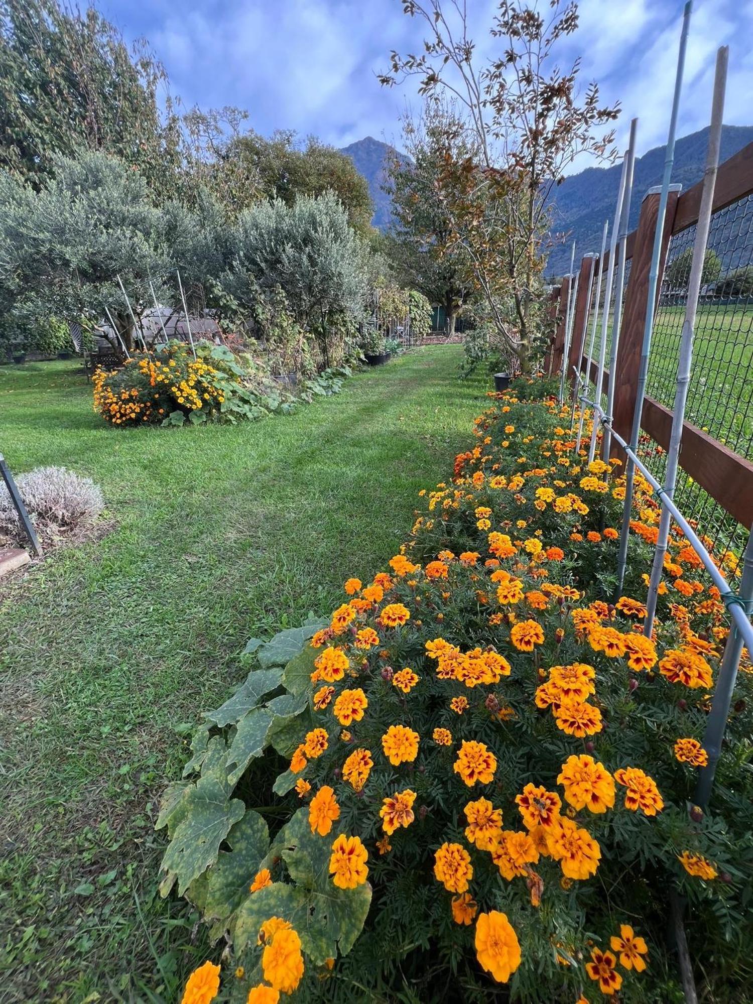 Il Giardino Dei Ciliegi Apartment คอลีโก ภายนอก รูปภาพ